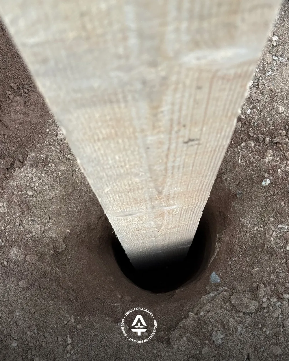 We put the poles 50 cm into the ground to make them stable