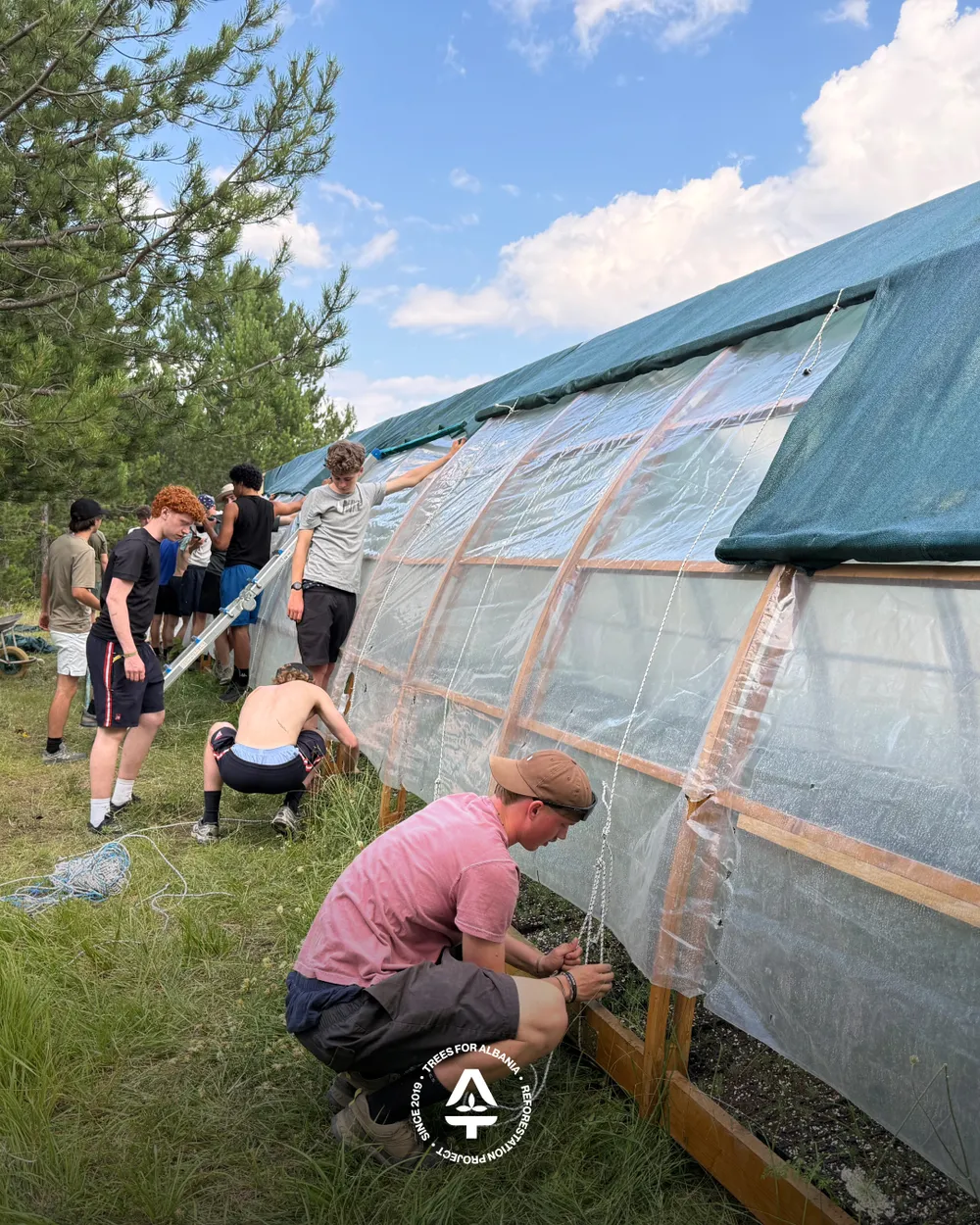 Tightening the shade to the structure of the greenhouse
