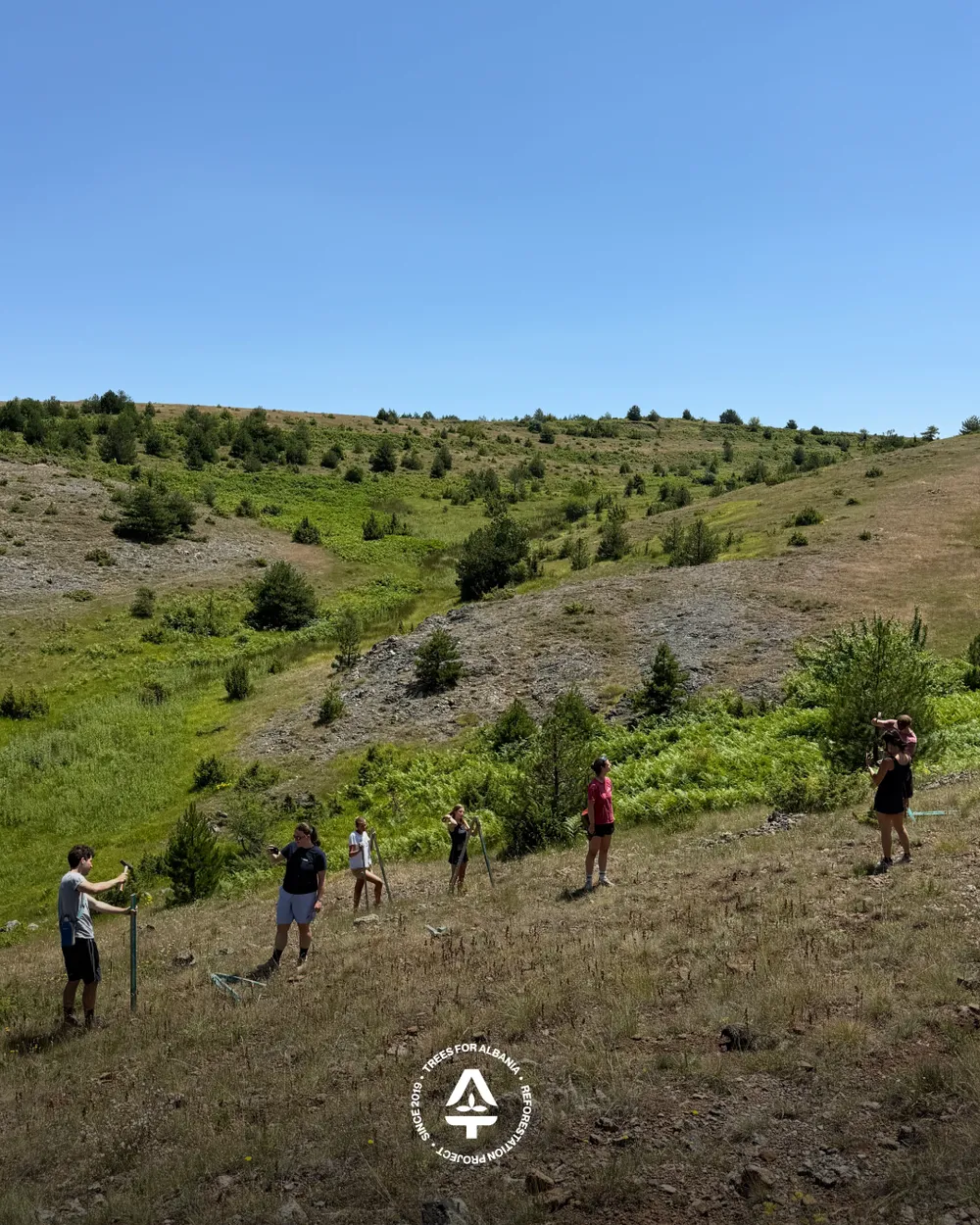 Scouts setting up monitoring points in Voskopojë