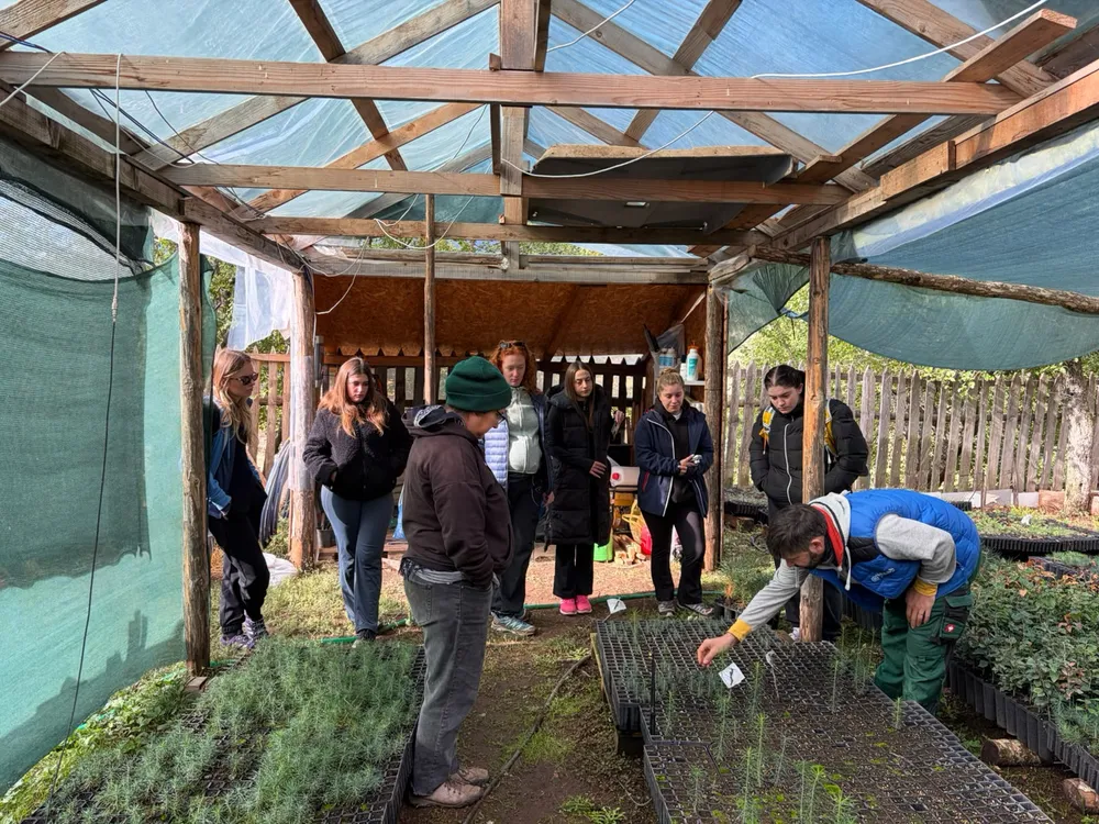 Fushë-Lurë tree nursery tour