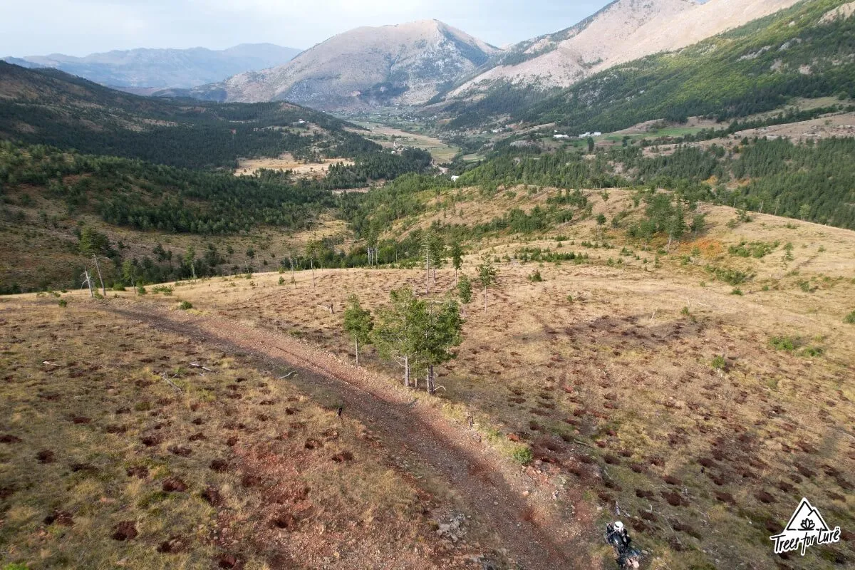 2550 holes in A13/Borie-Lurë area